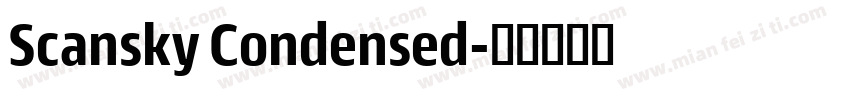 Scansky Condensed字体转换